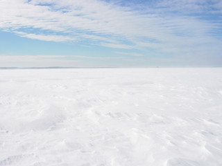 winter forest and field