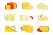 Different types of cheese pieces, popular kind of cheese vector Illustrations