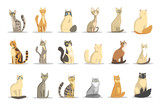 Fototapeta Koty - Cat different breeds set, cute pet animal vector Illustrations