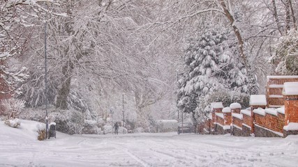 Wall Mural - Street in Snow