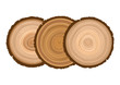 three texture of sawn wood brown object tree