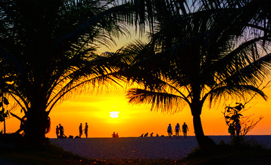 Sunset at the tropical beach