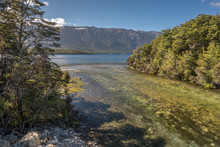 The Source Of The Buller River As It Flows Out Of Lake Rotoiti, Nelson Lakes National Park, New Zealand.