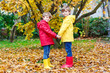 © Irina Schmidt - Two little best friends and kids boys autumn park in colorful clothes. Happy siblings children having fun in red and yellow rain coats and rubber boots. Family playing outdoors. active leisure.