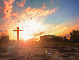 Wall Mural - resurrection of jesus christ concept: god lamb in front of the cross of jesus christ on sunrise back