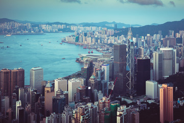 Wall Mural - Hong Kong skyline day time at Victoria peak, Hong Kong China