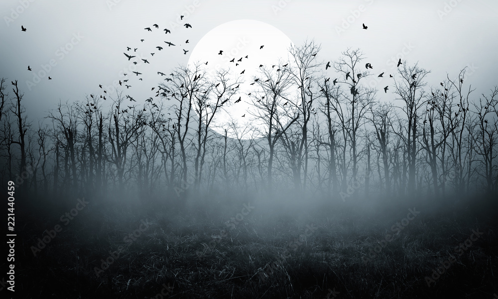dark night forest full moon Stock Photo | Adobe Stock