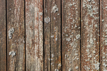 Wall Mural - Texture of weathered brown wooden planks with cracks and cement mortar stains. Abstract wooden background