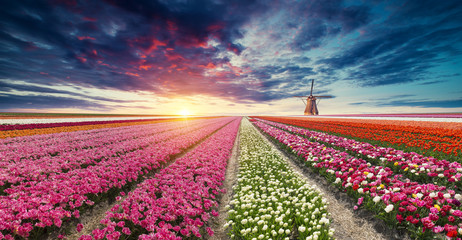 The road leading to the Dutch windmills from the canal in Rotterdam. Holland. Netherlands