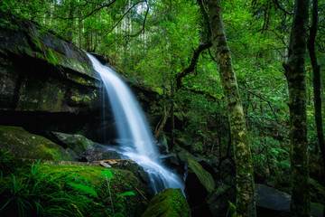 Sticker - Waterfall in the tropical rainforest landscape