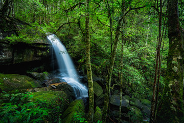 Sticker - Waterfall in the tropical rainforest landscape