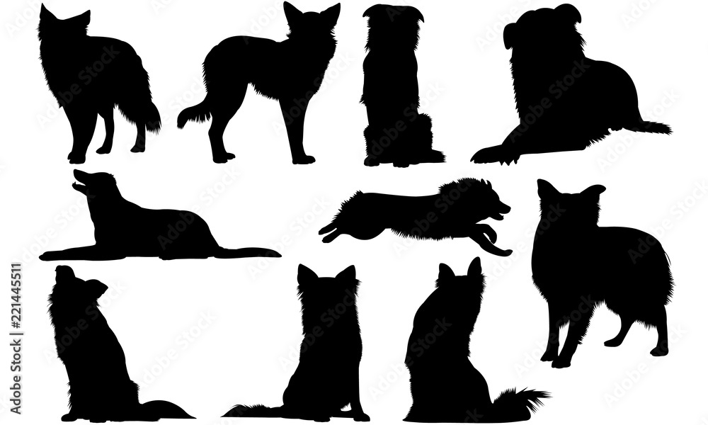 Border Collie Dog Svg Files Cricut, Silhouette Clip Art, Vector