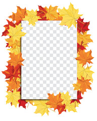 Maple leaves on transparency grid