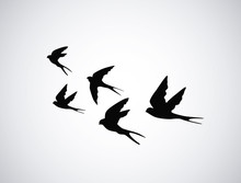 Vector Silhouette Flying Birds On White Background. Tattoo