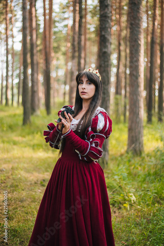 A Beautiful Girl With Black Long Hair In A Medieval Red Dress
