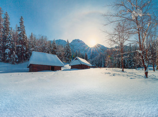 Poster - Winter landscape