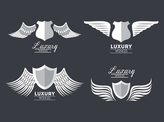 Canvas Print - Set Luxury silver wings