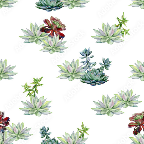 Watercolor succulents seamless pattern, echeveria illustration, botanical pai...