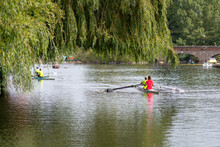 Racing Boats Under Willow Tree With Arched Bridge In Background