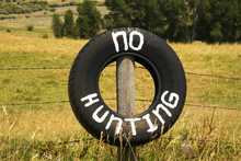 No Hunting On A Tire Outside Of Medicine Bow National Forest, Wyoming