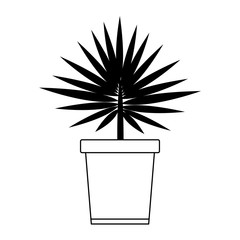 Poster - Plant in pot isolated in black and white