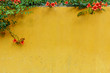 Background closeup textured bright yellow wall with creeping red flowers
