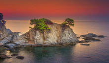 Sea Landscape At Sunrise. Beautiful View Of Cliff In Mediterranean At Dawn In Morning. Bright Red Sky Over Spanish Coast Of Lloret De Mar, Costa Brava, Spain. Amazing Nature And Coastline With Rocks.