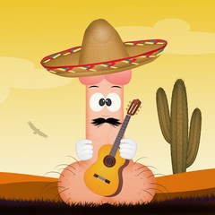 Poster - funny penis with sombrero