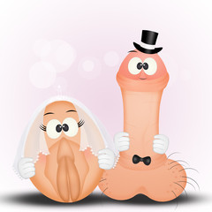 Sticker - funny vagina and penis spouses