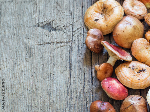 Fotografía A variety of raw fresh forest mushrooms on wooden background