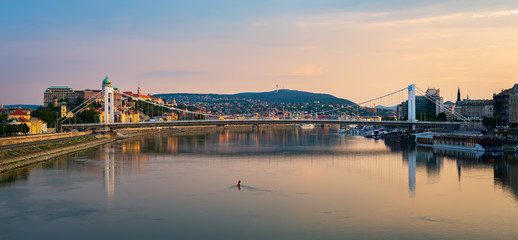 Wall Mural - Elizabeth bridge on Danube