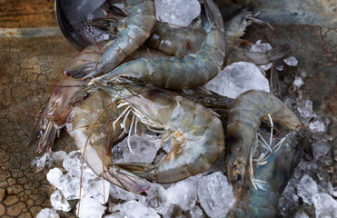 Wall Mural - Raw and fresh shrimps or prawns.