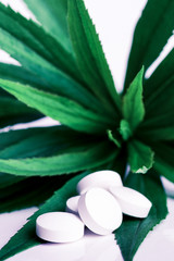 Wall Mural - Medicine herb. Herbal pills