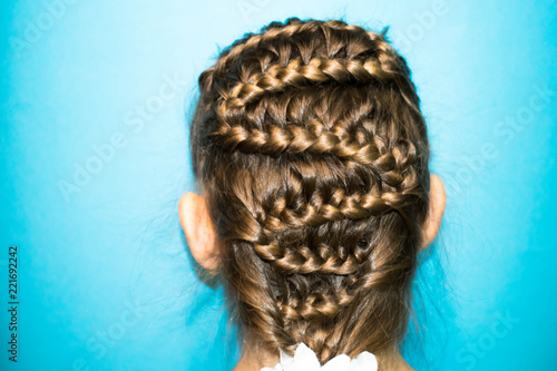 Hair Long Light Blond Braids Pigtails Braided In The Form Of