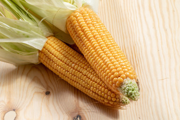 Canvas Print - Two ripe corn combs on a wooden table