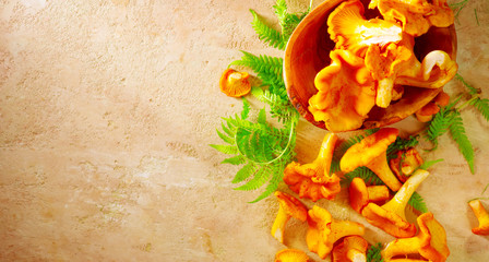 Fototapete - Raw wild chanterelle mushrooms on old rustic table background. Organic fresh chanterelles background. Top table view