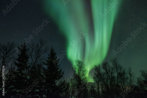 Fotografia, Obraz Landscape with northern lights over the forest in winter.