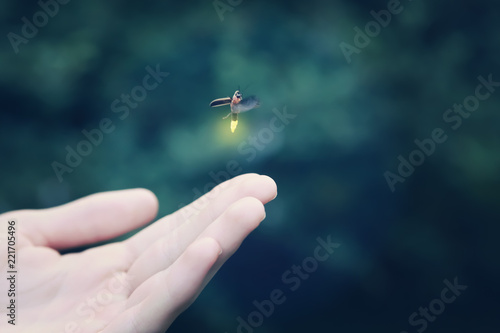 Fotomural Firefly flying away from a child's hand