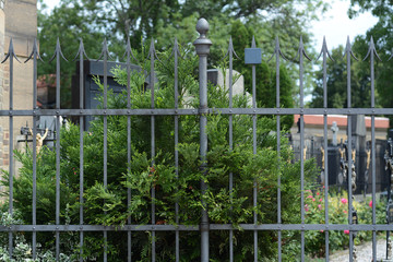 Iron fence with arrows with green bushes at the cemetery