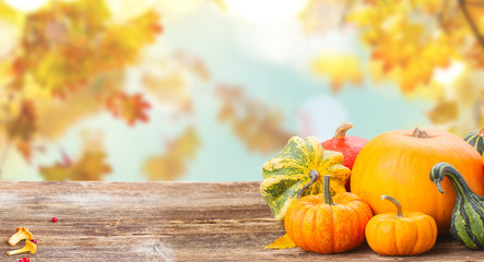 pile of orange raw pumpkins with fall leaves on wooden table over fall background