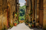 Fototapeta Uliczki - Old street in Pitigliano full of plants