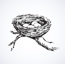 Nest. Vector Drawing