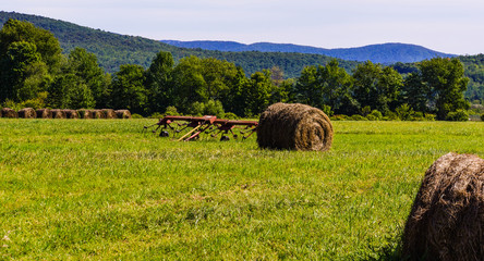 round bales of hay left in fields after haying in late summer in Vermont