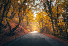 Amazing Autumn Forest With Road In Fog. Trees With Red And Yellow Foliage In Fall. Dreamy Landscape With Foggy Trees, Mountain Road, Colorful Leaves. Travel. Nature Seasonal Background. Magical Forest