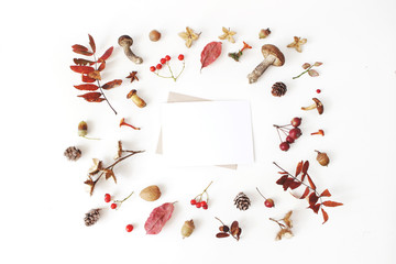 Wall Mural - Autumn styled botanical arrangement. Blank card mockup scene. Composition of mushrooms, pine cones, beechnuts, colorful dried leaves and rowan berries. White table background. Fall frame, flat lay