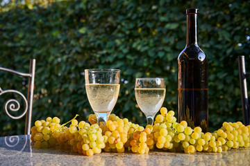 Bottle of white vine with two vintage vine glasses and fresh juicy and sweet grapes on the stone table in the garden restaurant, time of harvesting of grapes in autumn.