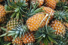 Background With A Heap Of Ripe Pineapples
