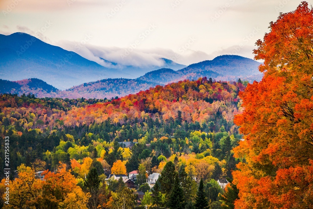 Peak Fall Colors in New England  - obrazy, fototapety, plakaty 
