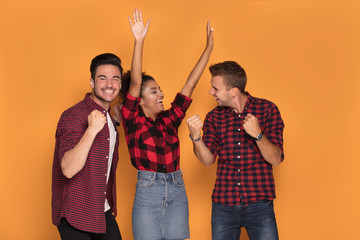 Wall Mural - Mixed race friends posing together.