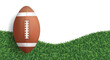 American football ball with green grass texture background. Vector.